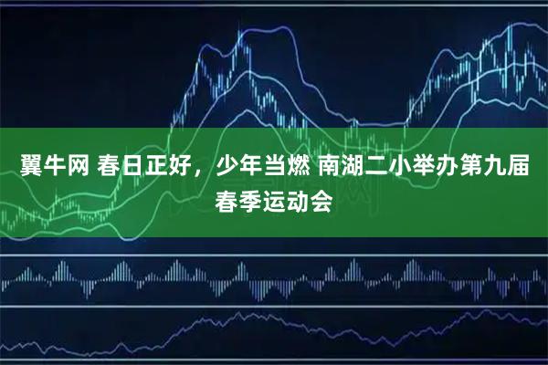 翼牛网 春日正好，少年当燃 南湖二小举办第九届春季运动会